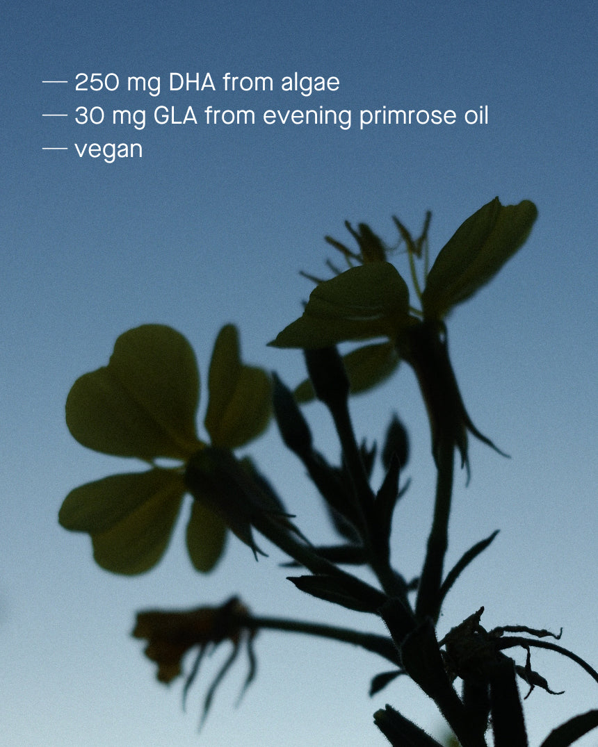 DHA + GLA OIL