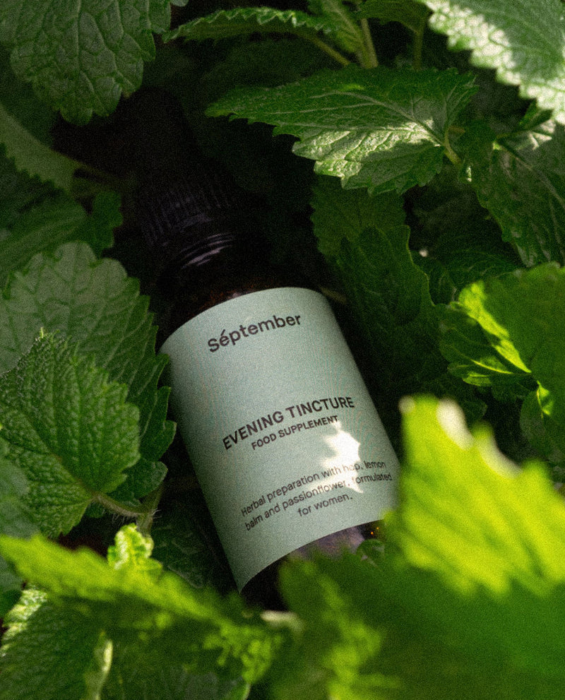 Bottle of Séptember Evening Tincture surrounded by green leaves